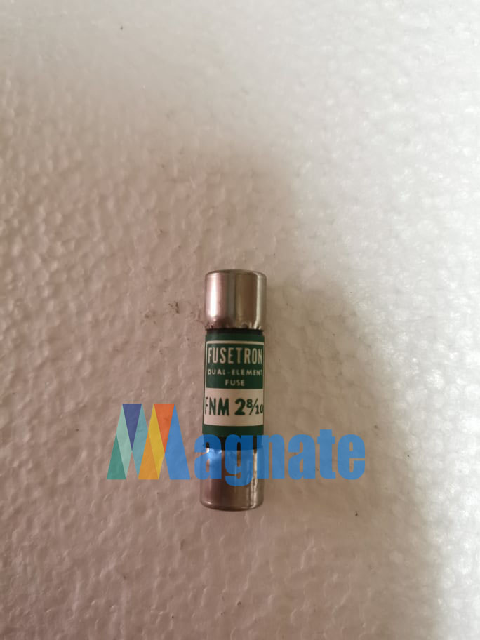 Fusetron Dual-element Fuse